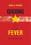 qigong fever book cover