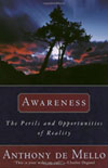 awareness book cover