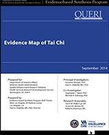 evidence map of tai chi report cover