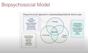 Venn diagram of biopsychosocial model of pain