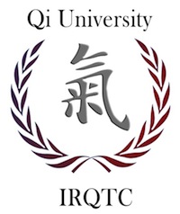 qi university logo