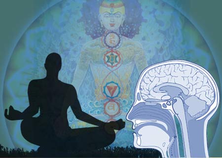 meditation and the brain