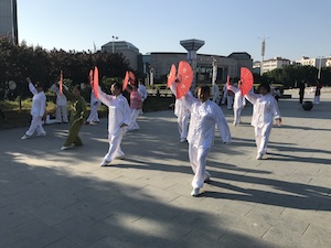 group tai chi fan practice
